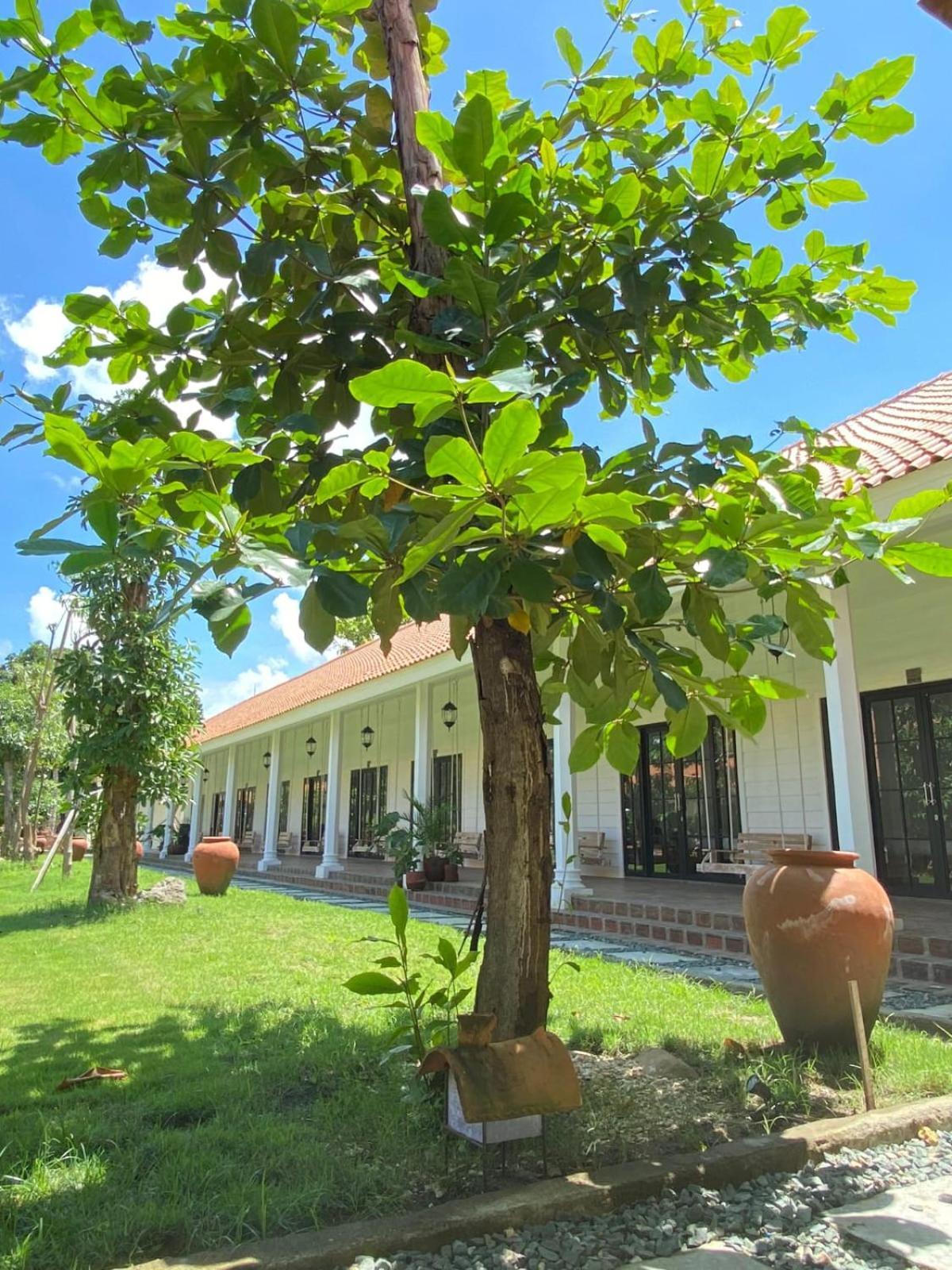 Pasir Putih Resort & Resto Maluk المظهر الخارجي الصورة